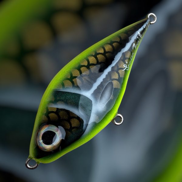 Franky flash v2 (crusader carp)