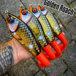 JB Padel/tail (Golden Roach)
