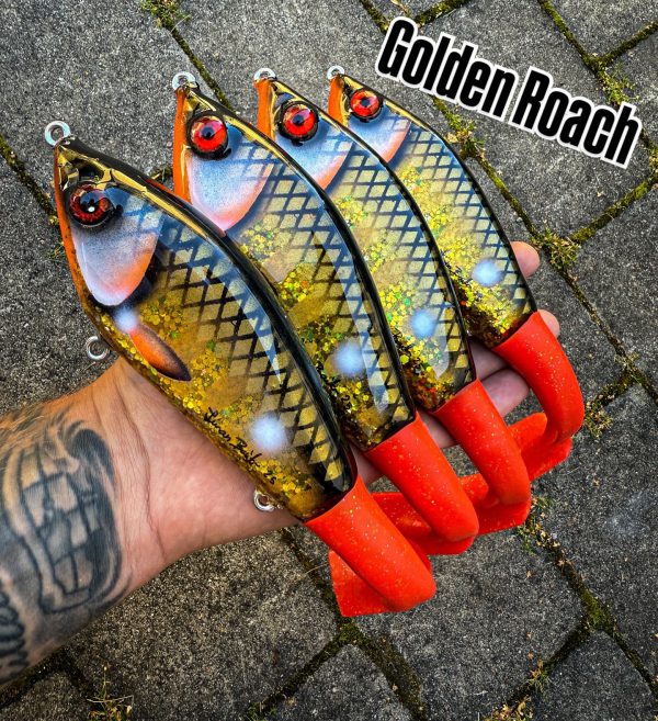 JB Padel/tail (Golden Roach)