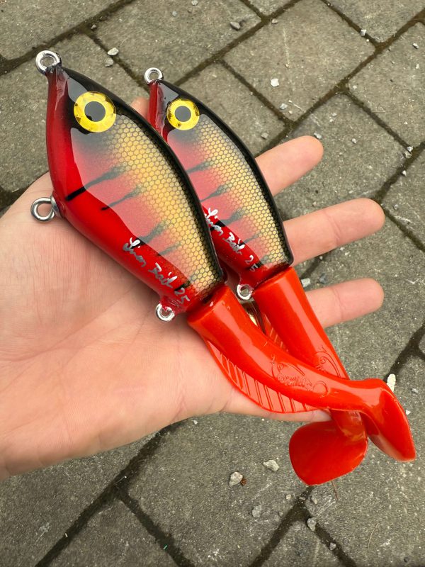 JB the kid (Red Tiger)
