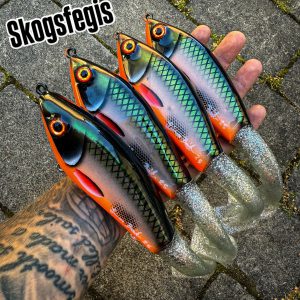 JB Padel/tail (Skogsfegis)
