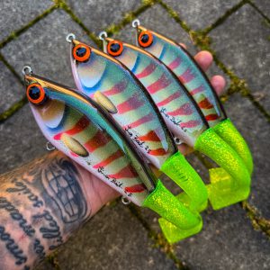 JB Padel/tail (Blushback Perch)
