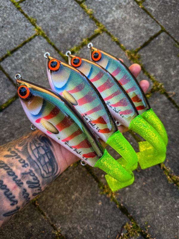 JB Padel/tail (Blushback Perch)