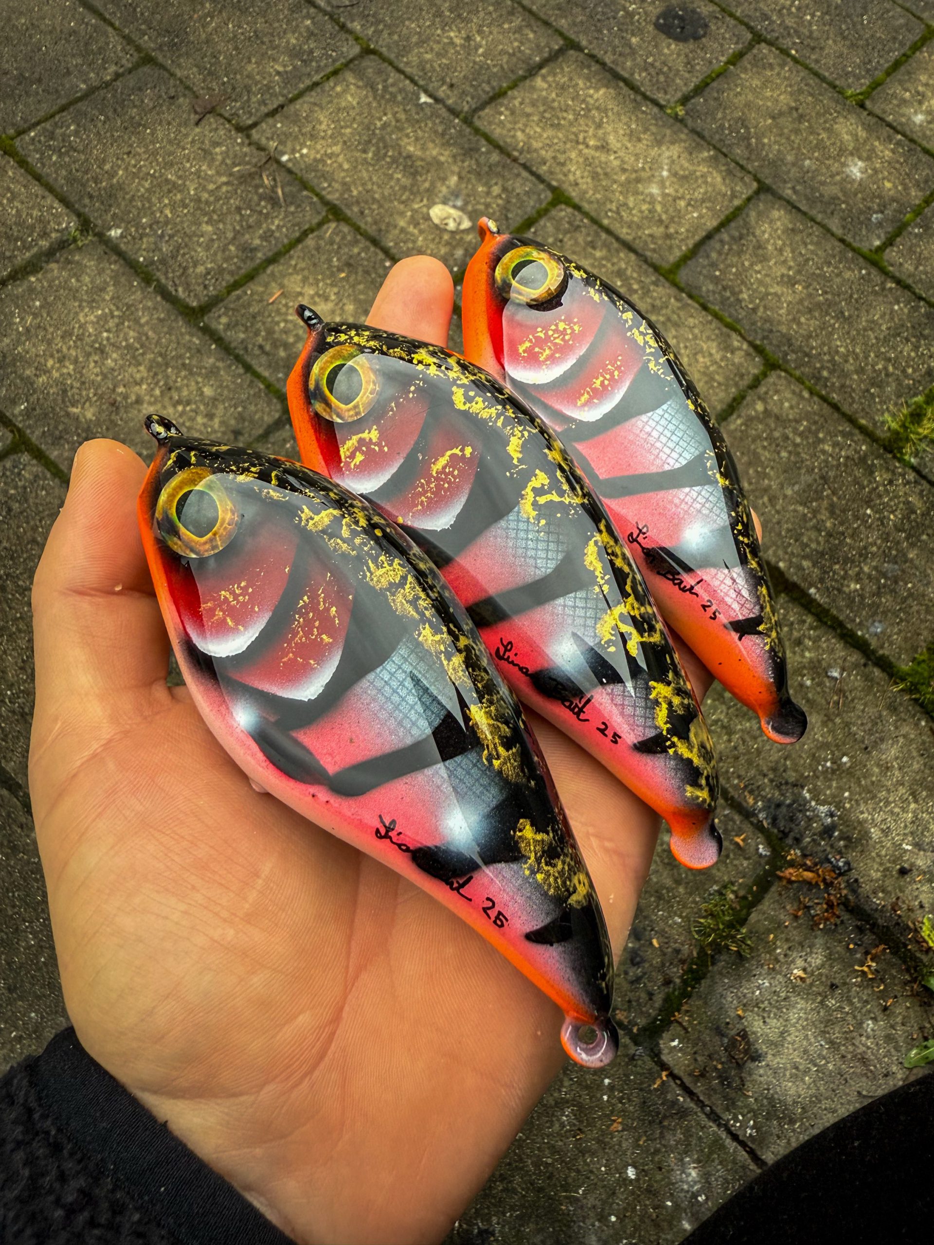 Franky flash v2 (Raspberry Beret)